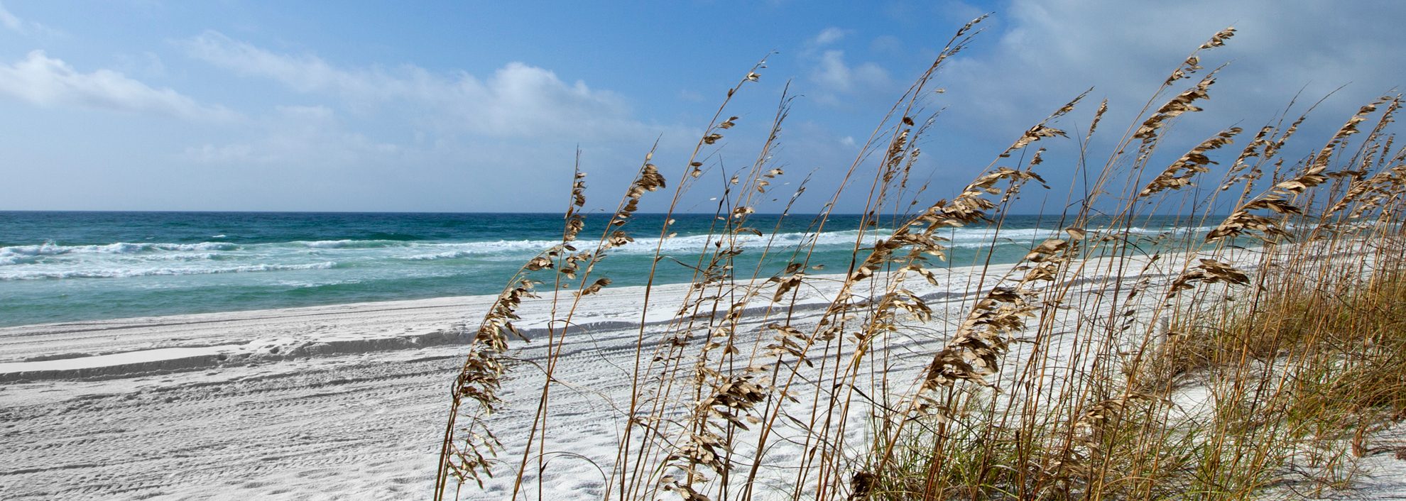 The Gulf of Mexico in Penascola Florida